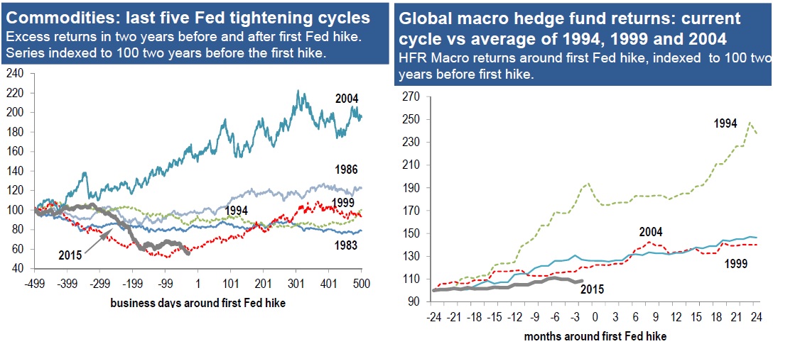 materias primas y hedge funds
