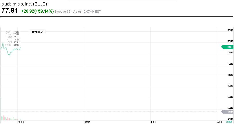 Bluebird cotizaci&oacute;n intrad&iacute;a