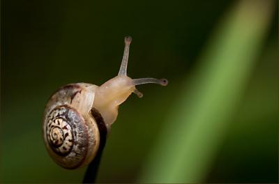 Al cierre. Muy buena excusa