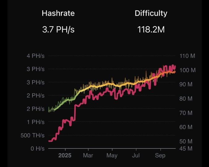 Operational Hashn Rates Hash rate al alza y precio estancado para Litecoin | Estrategias de ...
