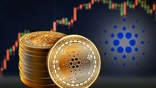 La Fundación Cardano alcanzó el millón de árboles plantados