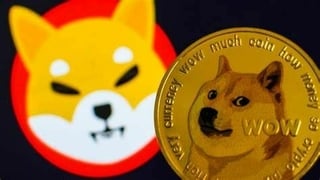 Shiba Inu: inversión anónima de 8.000 a 5.700 millones de dólares