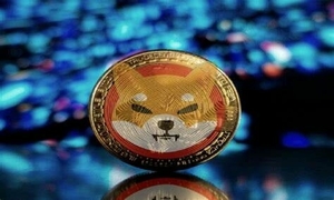Los inversores minoristas están en Shiba Inu, no en Bitcoin