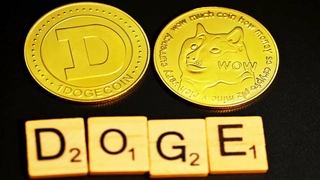 Advertencia a los inversores de Dogecoin sobre margin trading