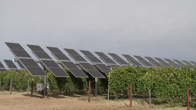Iberdrola construirá la primera agrovoltaica para potenciar el cultivo de manzanas de País Vasco