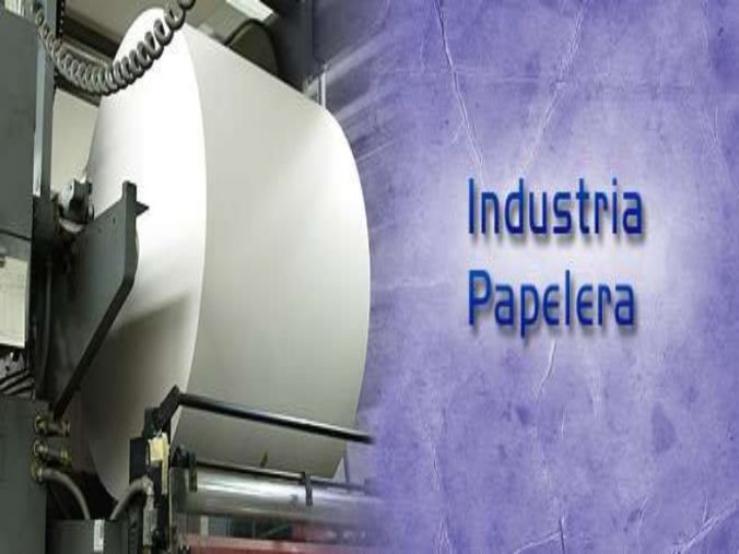 Papel, celulosa, energía y gestión forestal