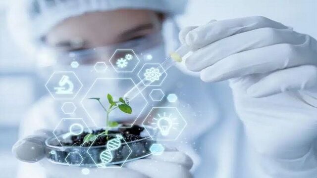El sector biotecnológico se impulsa mientras el sector de chips cae