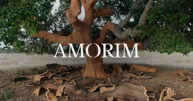 Corticeira Amorim, internacional, exportadora y en crecimiento