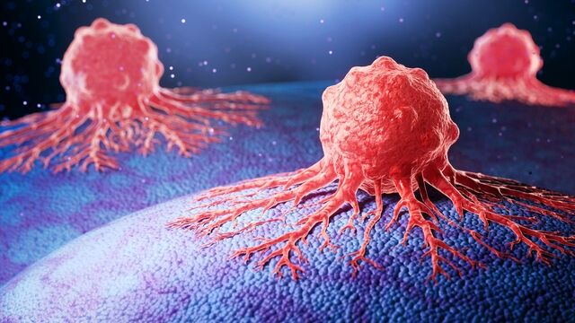 Atrys Health y Pangaea Oncology avanzan en la personalización del tratamiento del cáncer