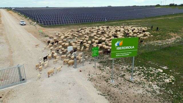 Iberdrola e Ingeteam avanzan en la hibridación de plantas solares con nuevos sistemas de almacenamiento
