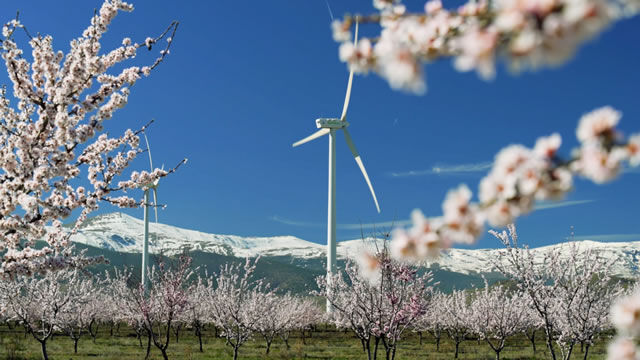 Iberdrola, líder en el mercado europeo de contratos de energía limpia a largo plazo por tercer año consecutivo