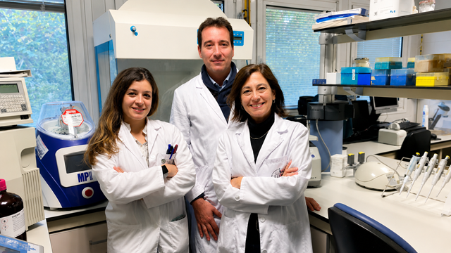 La Universidad de Jaén gana el VIII Premio Internacional Castillo de Canena por su investigación sobre los beneficios del AOVE