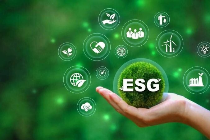 Inversiones sostenibles: elegir el "sabor" adecuado con convicción