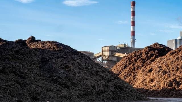 Magnon (ENCE) suma un contrato en Extremadura para descarbonizar el sector de la alimentación