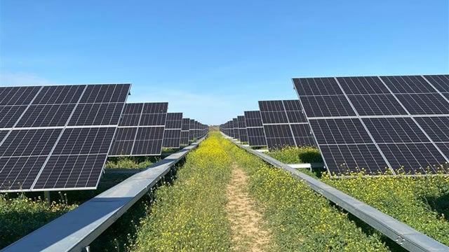 Umbrella comienza a operar su planta solar en Gibraleón (Huelva)