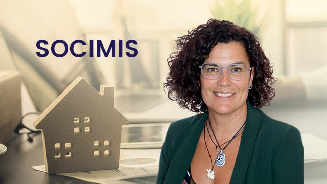 Especial SOCIMIs: Análisis y valoración. Clasificación por subsectores y perspectivas