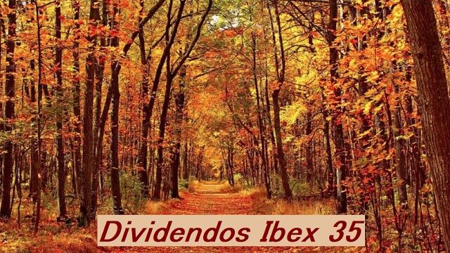 Septiembre estrena curso en el Ibex 35 con dos dividendos