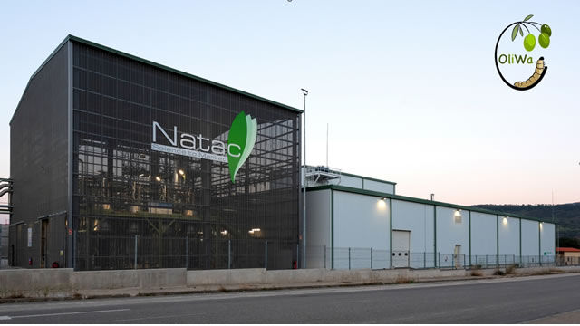 Natac, parte del proyecto europeo OLIWA  para reutilizar la biomasa del olivo