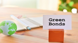 El Parlamento Europeo aprueba el reglamento de bonos verdes  europeos