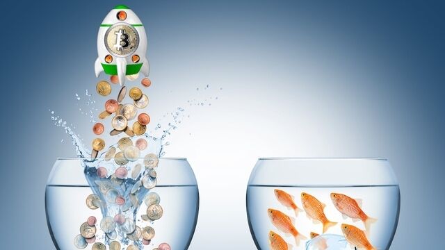 El FOMO se instala en esta criptomoneda, ¿estamos ante la preventa del año?