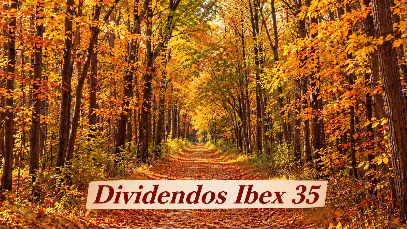 Sendero noviembre de Dividendos Ibex 35 Sendero noviembre de Dividendos Ibex 35