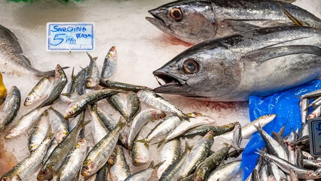 Cuando el pescado no da alergia: la intoxicaci&oacute;n que se confunde con una reacci&oacute;n al&eacute;rgica