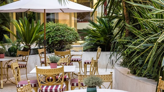 jardin