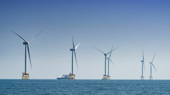 Iberdrola se propone diseñar parques eólicos en el mar que protejan la naturaleza