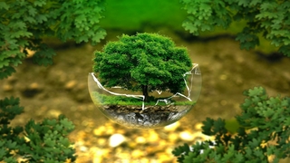 sostenibilidad02
