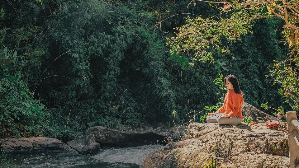 CBD revoluciona la industria de la salud y el bienestar CBD revoluciona la industria de la salud y el bienestar