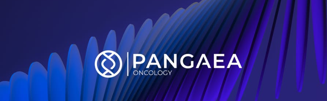 Pangaea, hacia el Modelo 2.0: crecimiento org&aacute;nico y refuerzo de Capital