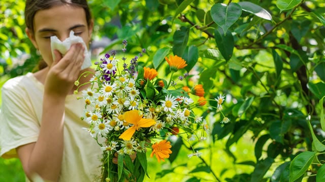 Especialistas alertan de una primavera alérgica más intensa y prolongada por el aumento de los niveles de polen