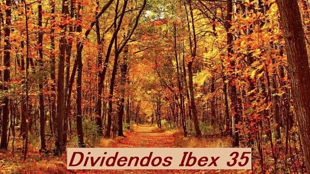 Dividendos de otoño en el Ibex 35: seis confirmados y ocho previstos