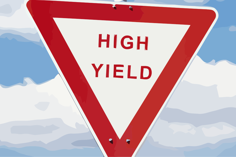 "Utilizamos el enfoque prospectivo de la renta variable para seleccionar las futuras estrellas emergentes del 'high yield' global"
