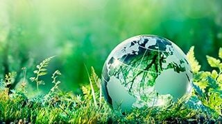 Los bonos verdes como alternativa sostenible