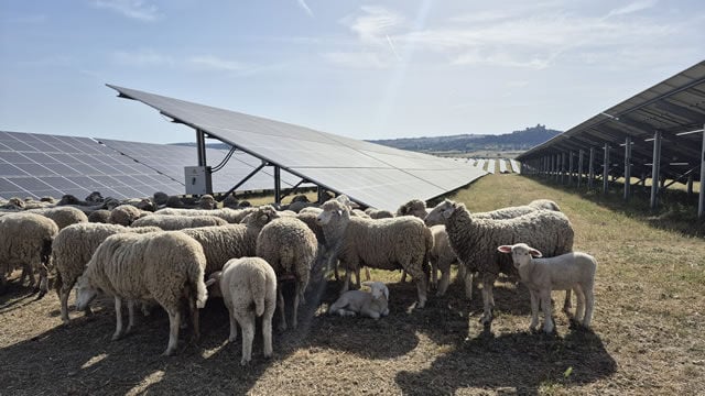Iberdrola