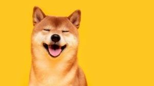 Ballena de Ethereum carga 99 millones de tokens más de SHIBA Inu