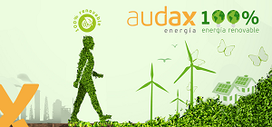 Energías renovables: Audax encabezaría la transición energética