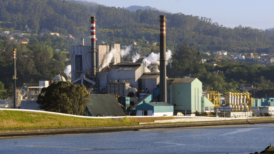Ence fija en 185 millones el supuesto impacto de desmantelar su fábrica de Pontevedra