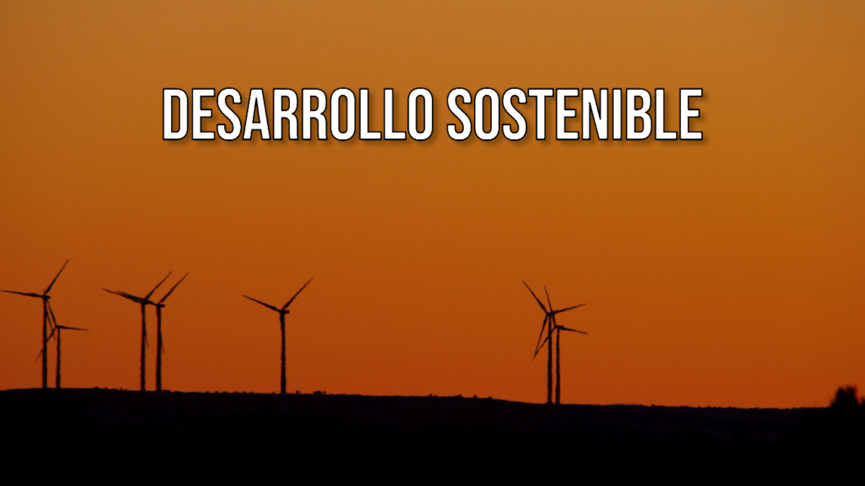 Así implementan las empresas los ODS para obtener mejores rentabilidades