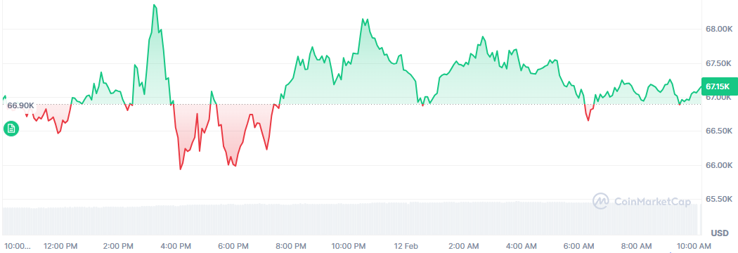 Bitcoin se mantiene estable en las últimas 24 horas, manteniéndose en los 67.000