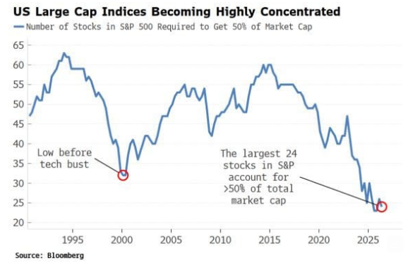 Las 24 empresas con mayor capitalización representan actualmente más del 50% de la capitalización total del S&P 500, la mayor concentración del mercado de la historia
