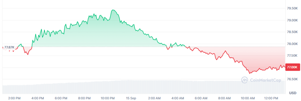 Bitcoin intenta mantener al menos los 77.000